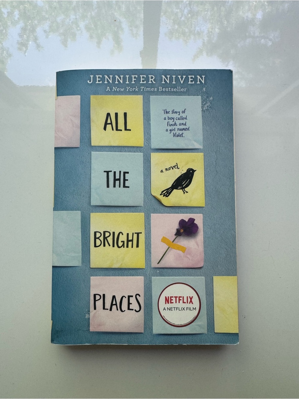 Jennifer Niven "All the Bright Places" Paperback - Blue Cover with Pastel Notes